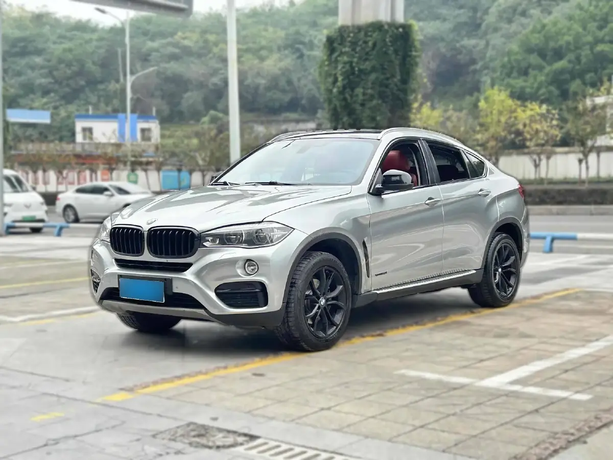 2009 BMW X6 3.0T 306HP L6 6AT