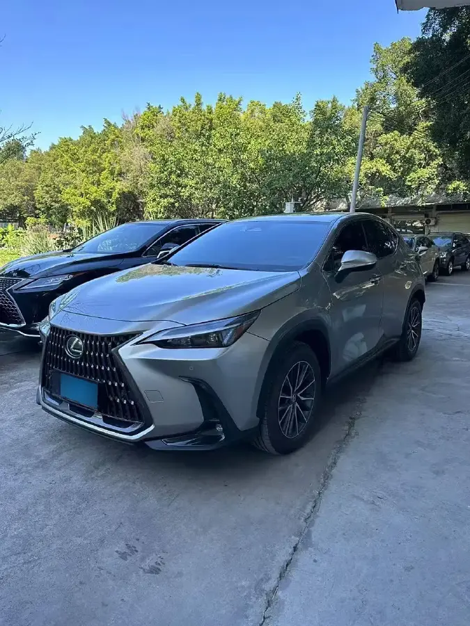 2022 Lexus NX 2.5L 205HP L4 8AT