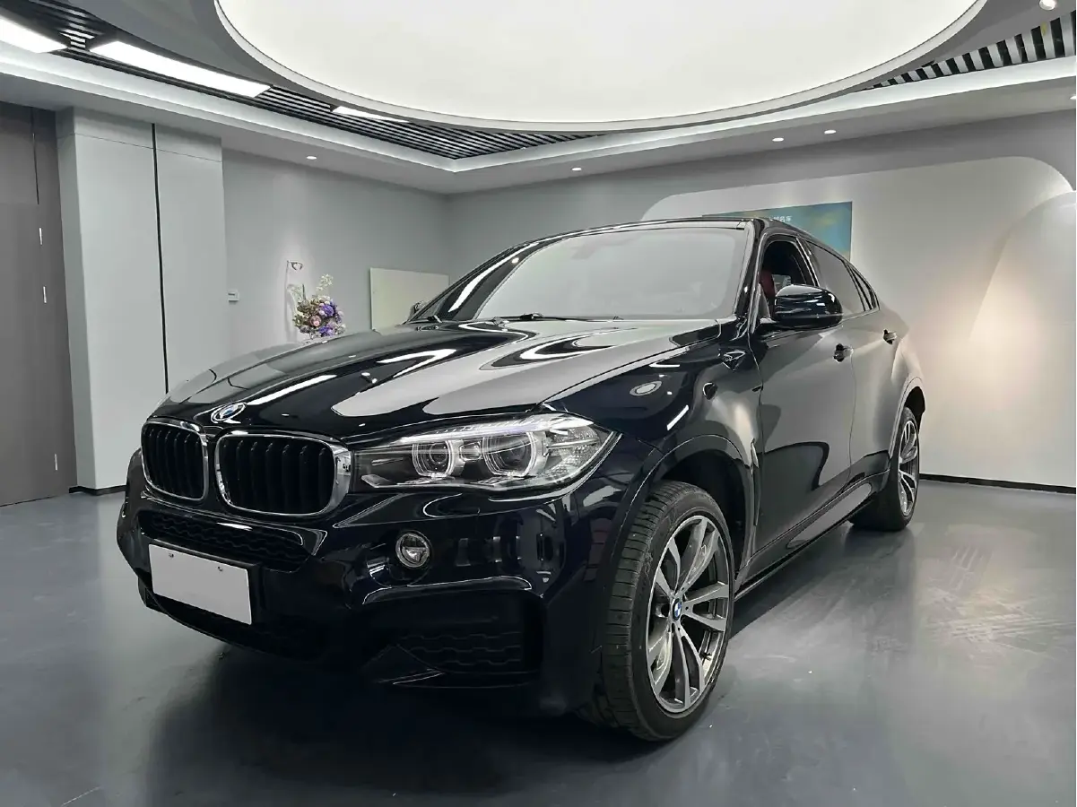 2019 BMW X6 2.0T 245HP L4 8AT