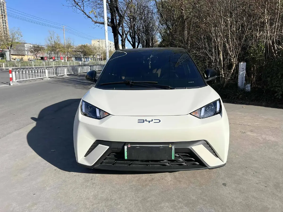 2024 BYD Seagull BEV 30.08KWH