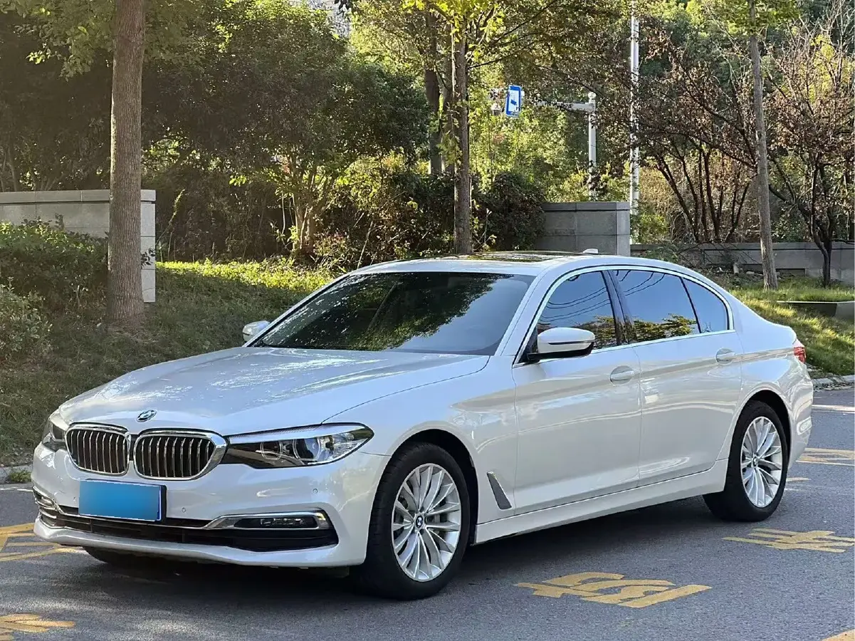 2019 BMW 5 Series 2.0T 252HP L4 8AT