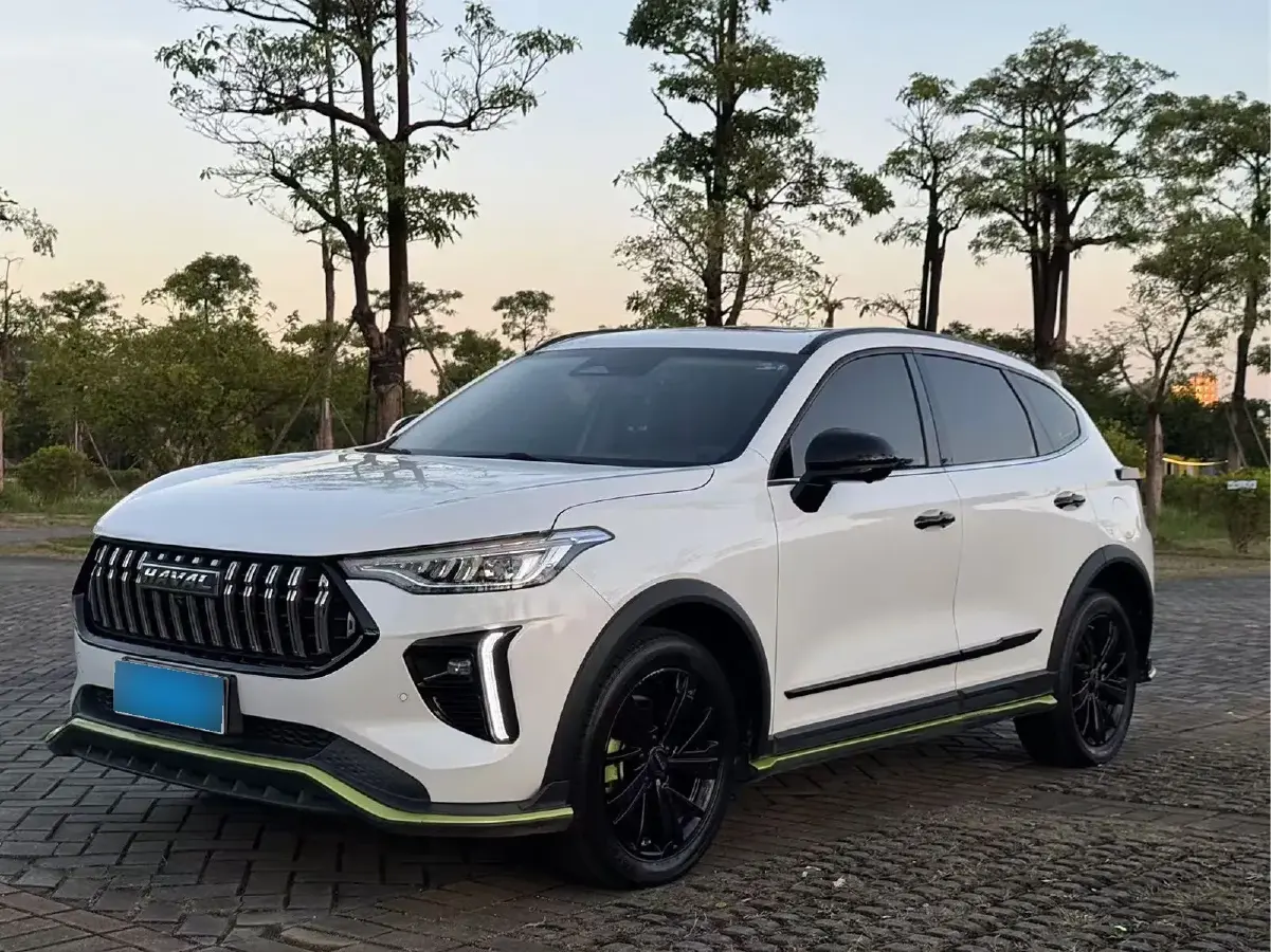 2021 Haval Rabbit 1.5T 184HP L4 7DCT