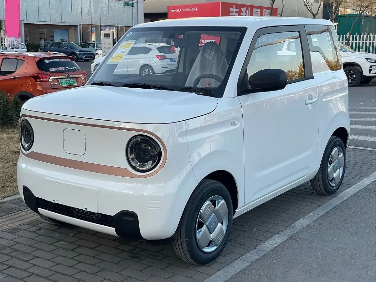 2024 Geely Panda BEV 17.03KWH