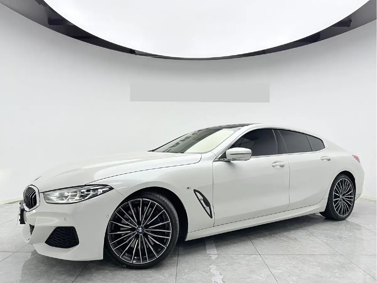 2019 BMW 8 Series 3.0T 340HP L6 8AT