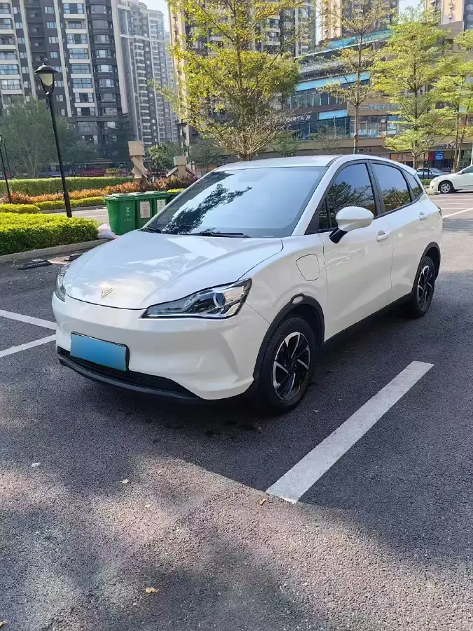 2022 Neta V BEV 38.54KWH
