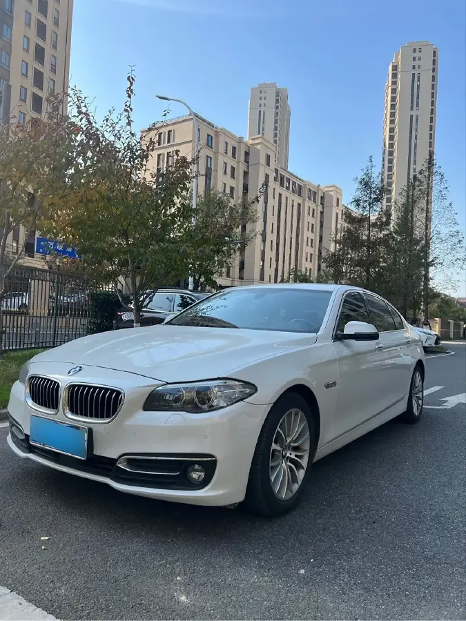 2017 BMW 5 Series 2.0T 218HP L4 8AT