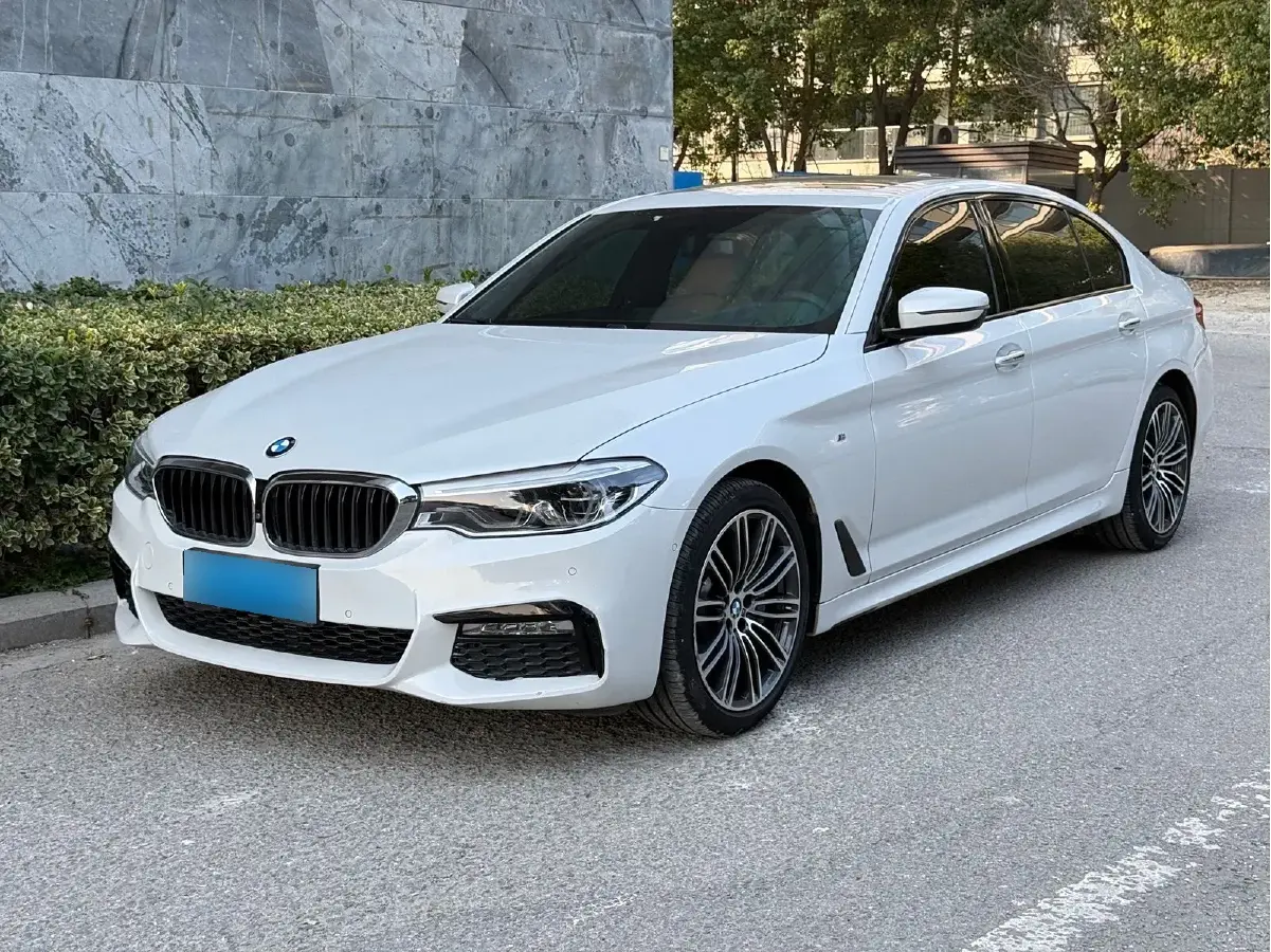 2018 BMW 5 Series 2.0T 252HP L4 8AT