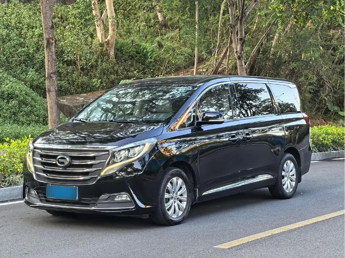 2018 GAC Trumpchi M8 2.0T 201HP L4 6AT