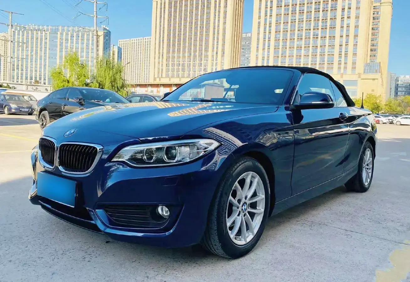 2015 BMW 2 Series 1.5T 136HP L3 8AT