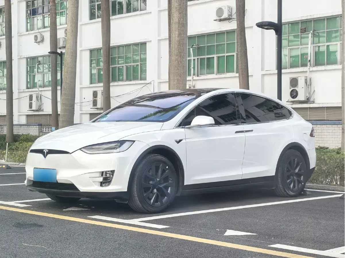 2020 Tesla Model X BEV 100KWH