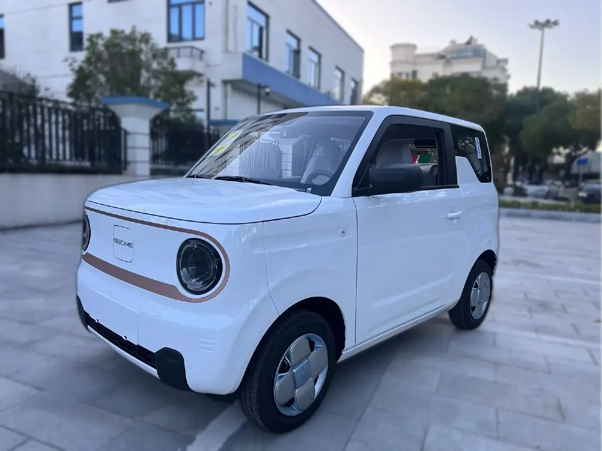 2024 Geely Panda BEV 17.03KWH