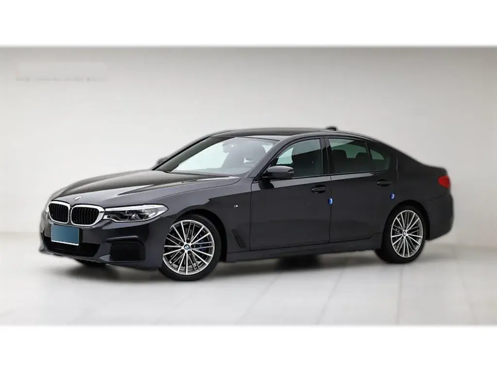 2019 BMW 5 Series 2.0T 252HP L4 8AT