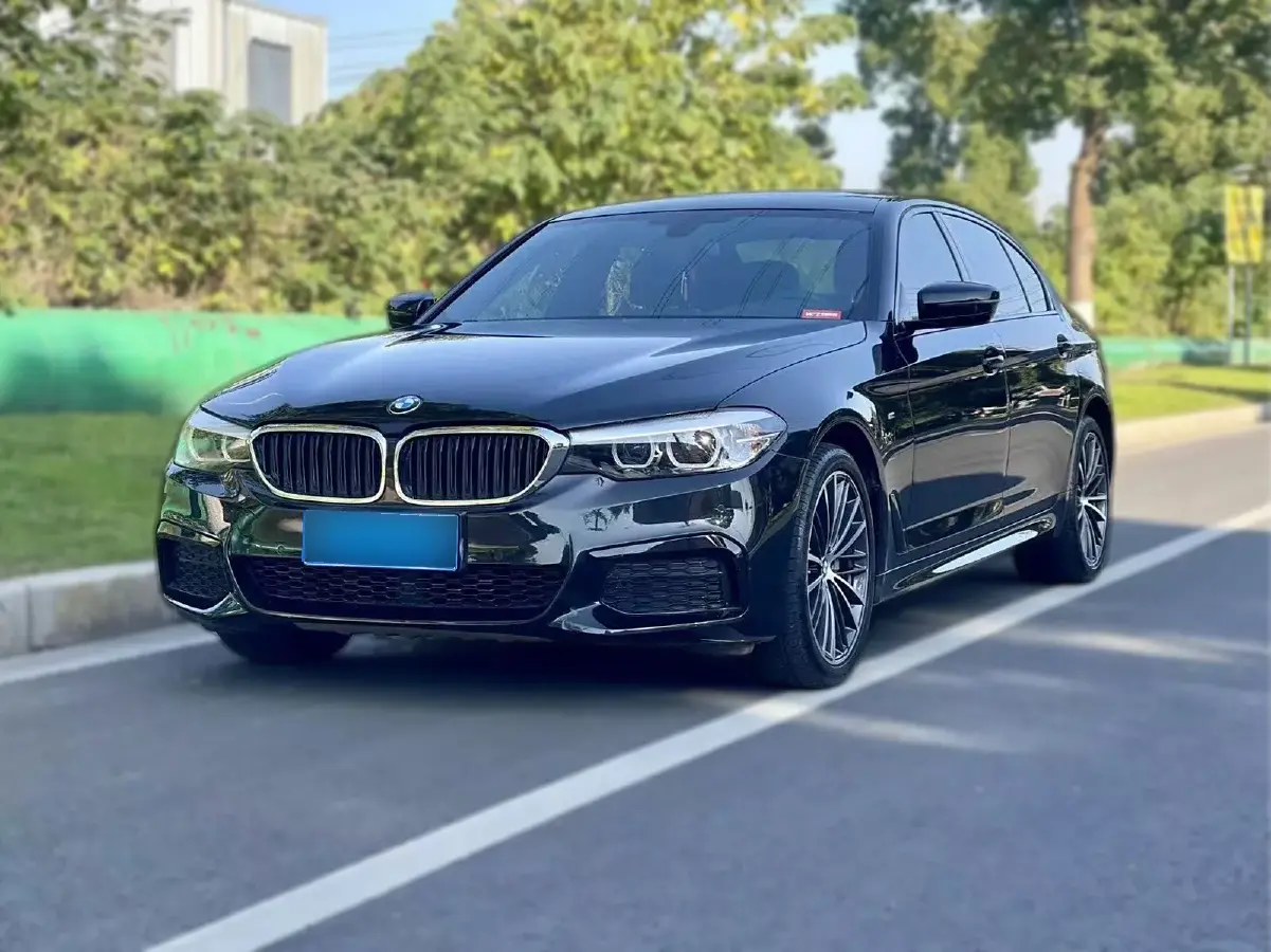 2019 BMW 5 Series 2.0T 252HP L4 8AT