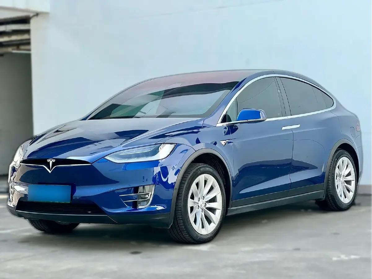 2019 Tesla Model X BEV 100KWH