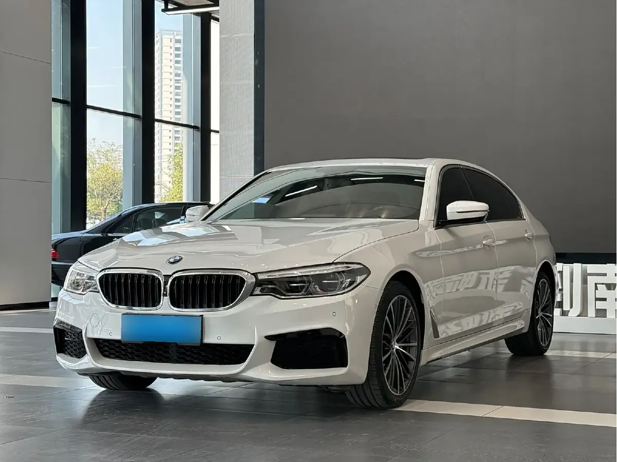 2020 BMW 5 Series 2.0T 252HP L4 8AT