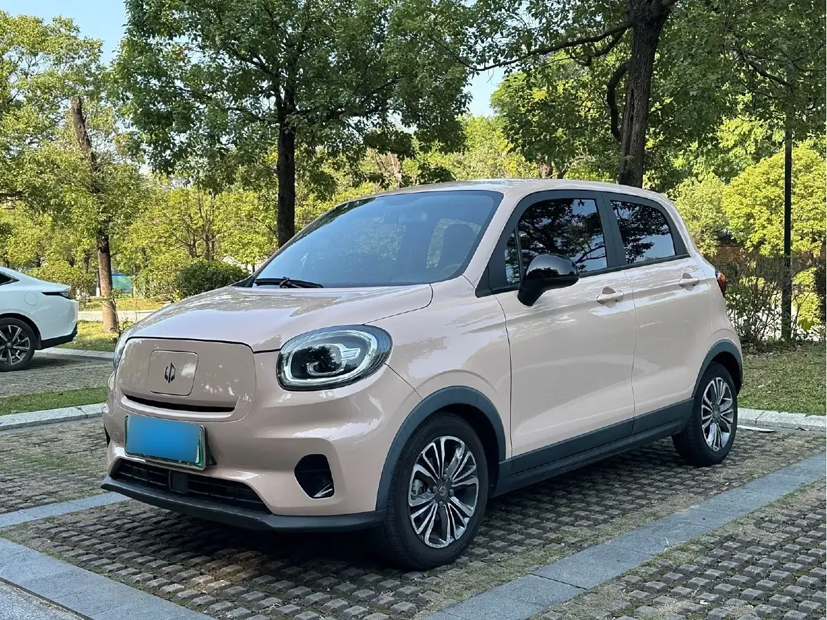 2021 Leapmotor T03 BEV 41KWH