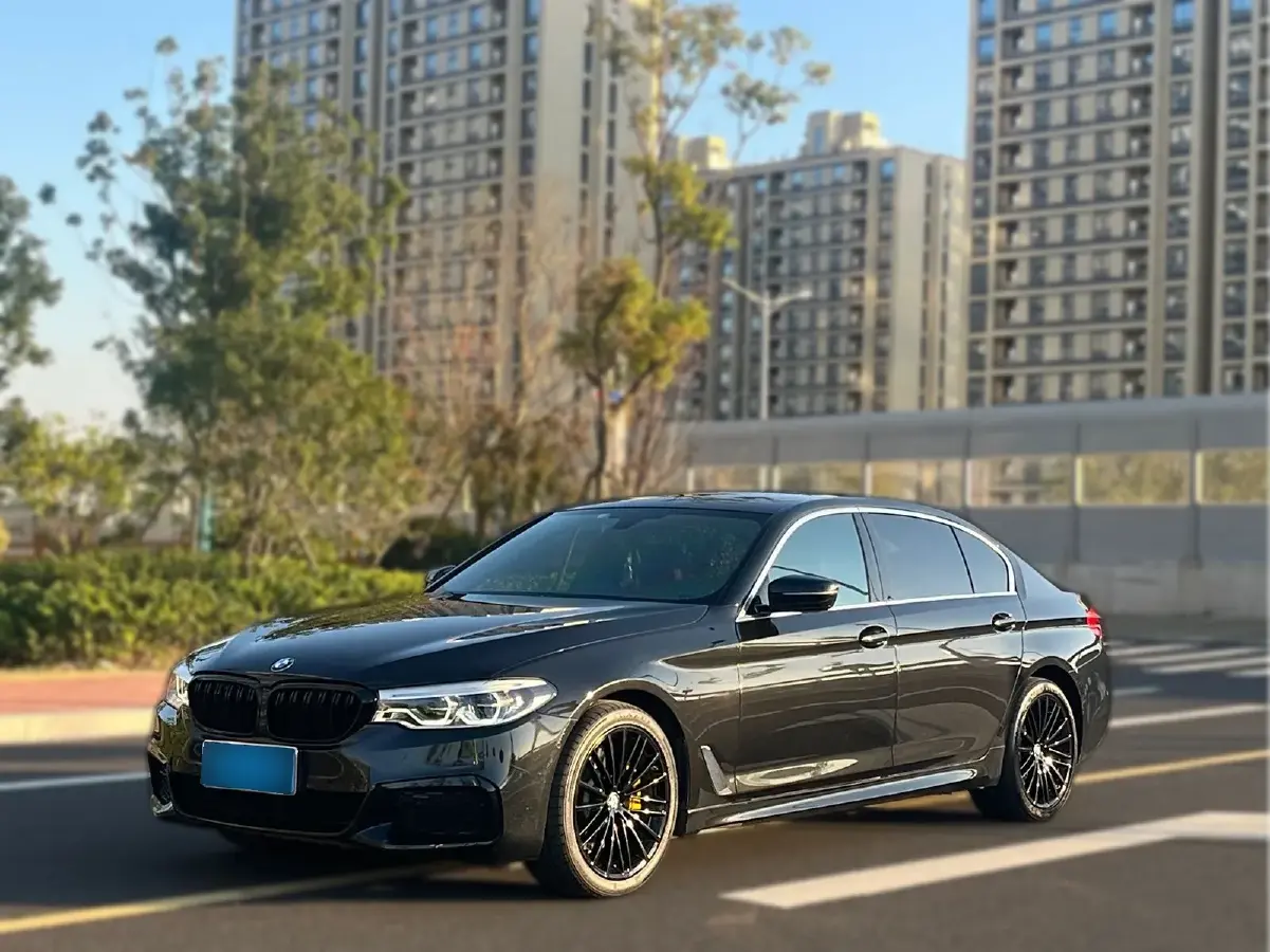2020 BMW 5 Series 2.0T 252HP L4 8AT