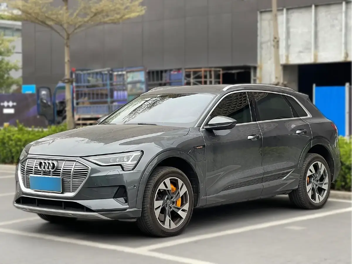 2019 Audi e-tron 2AT BEV 95KWH