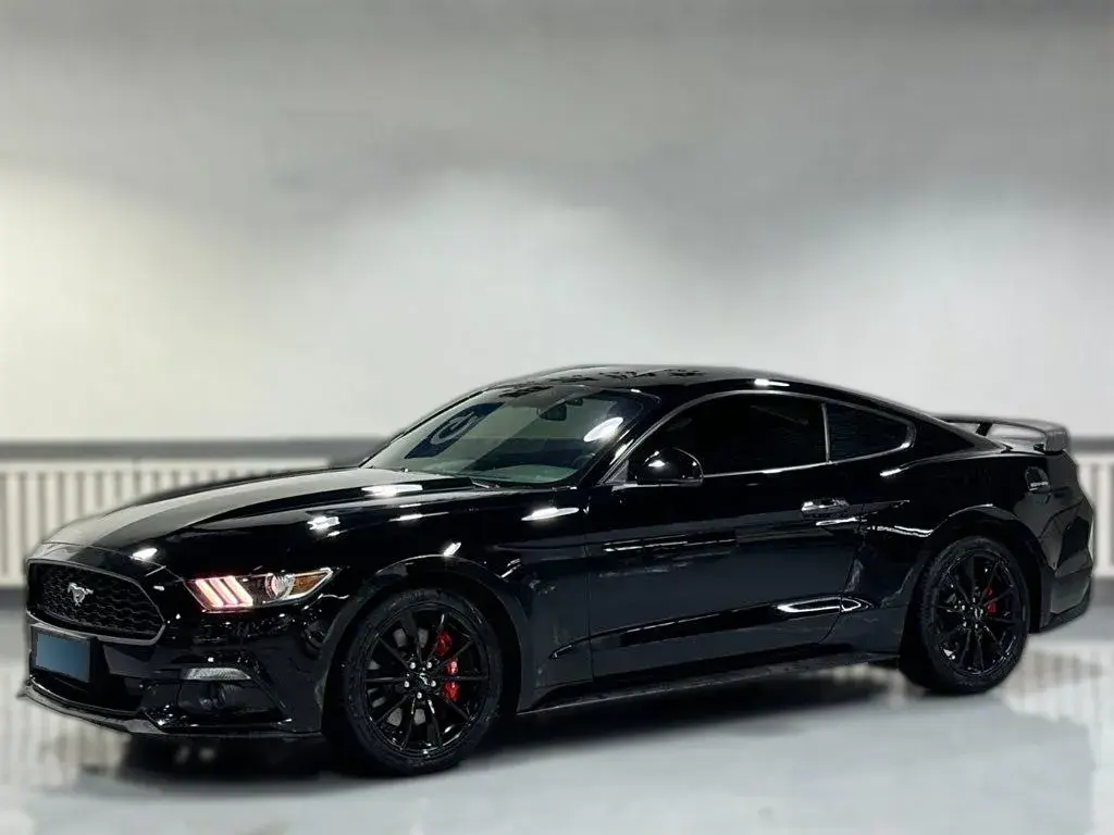 2017 Ford Mustang 2.3T 314HP L4 6AT