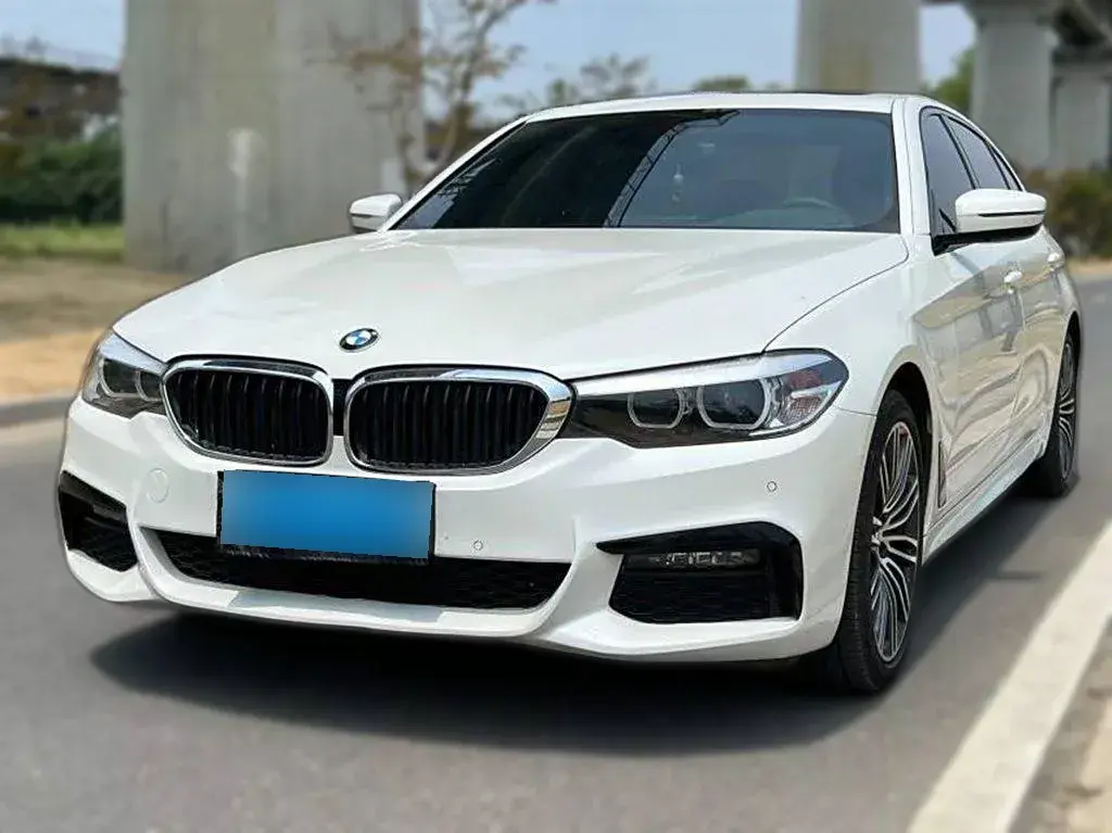2019 BMW 5 Series 2.0T 252HP L4 8AT