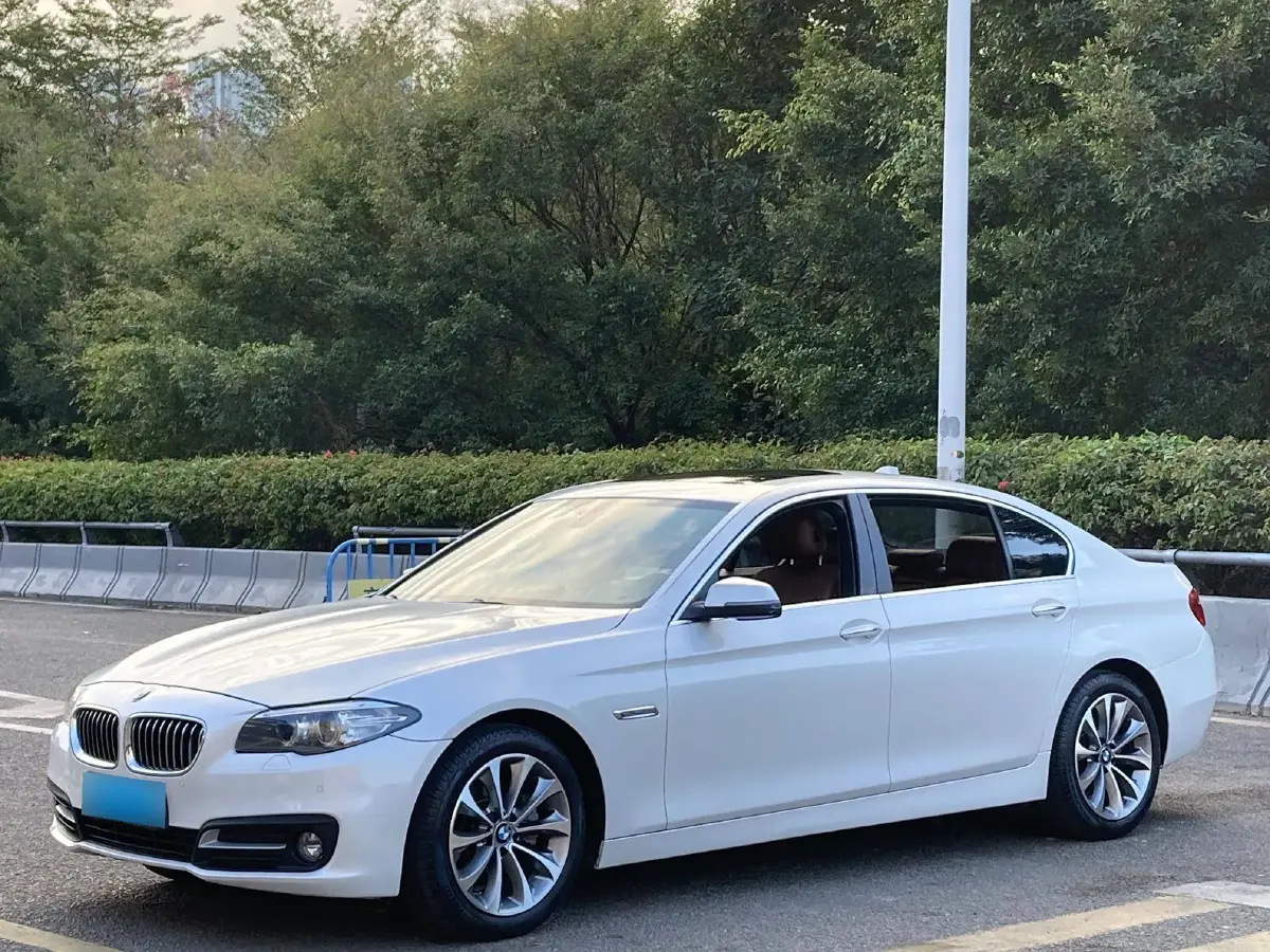 2017 BMW 5 Series 2.0T 218HP L4 8AT