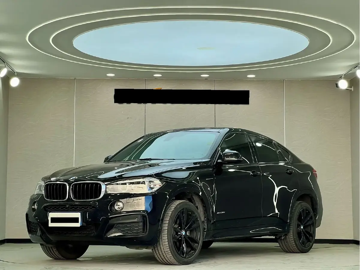 2018 BMW X6 3.0T 306HP L6 8AT