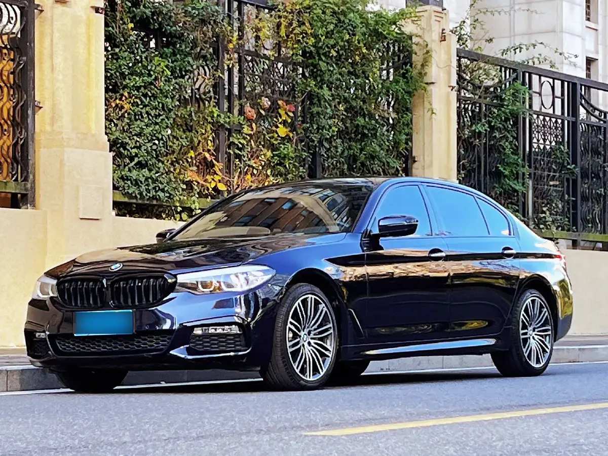 2018 BMW 5 Series 2.0T 252HP L4 8AT