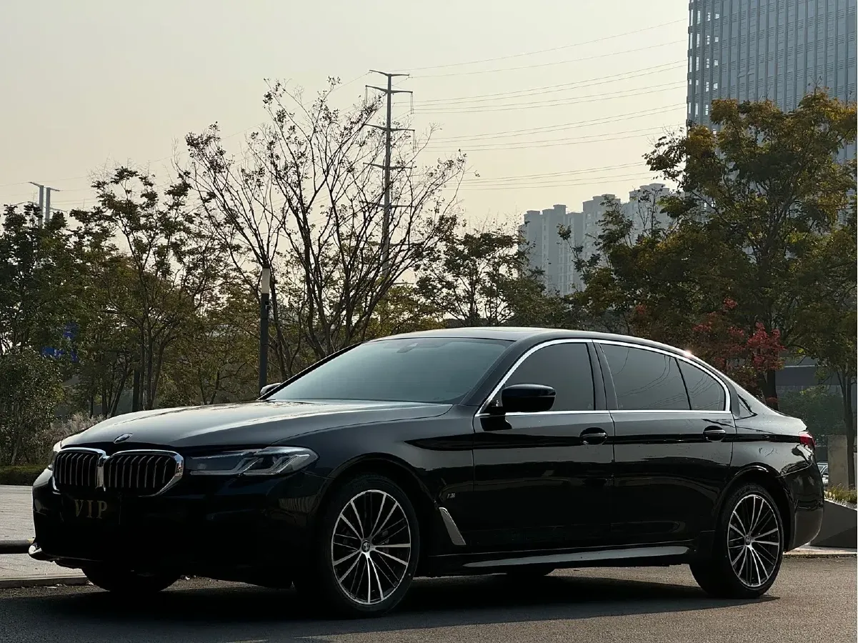 2021 BMW 5 Series 2.0T 252HP L4 8AT,autocango,china used car exporter,china ev exporter,chinese used car exporter,chinese used ev exporter