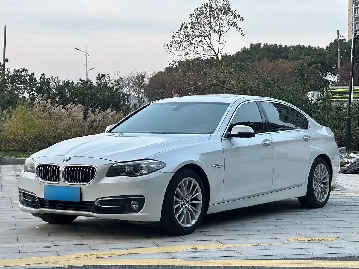 2017 BMW 5 Series 2.0T 218HP L4 8AT