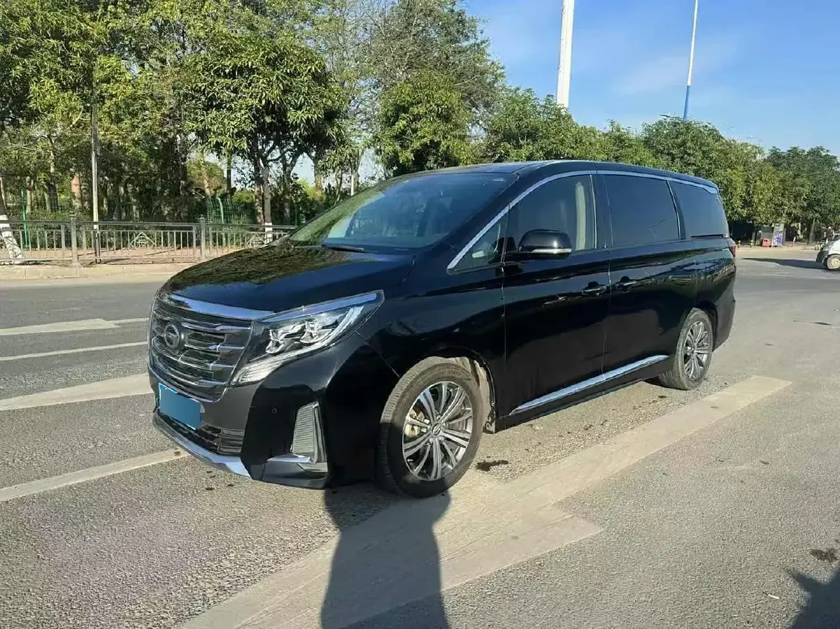 2020 GAC Trumpchi M8 2.0T 252HP L4 8AT