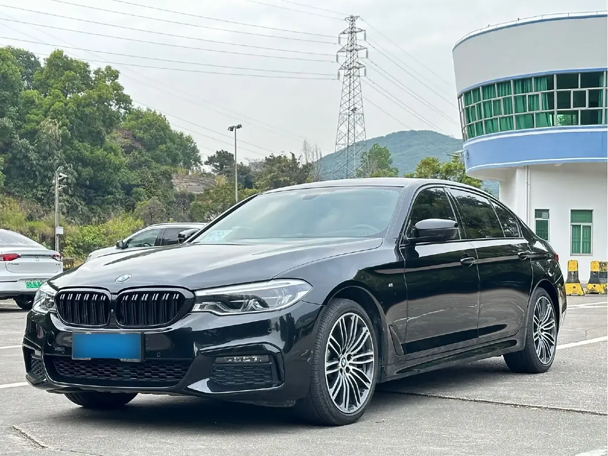 2019 BMW 5 Series 2.0T 252HP L4 8AT