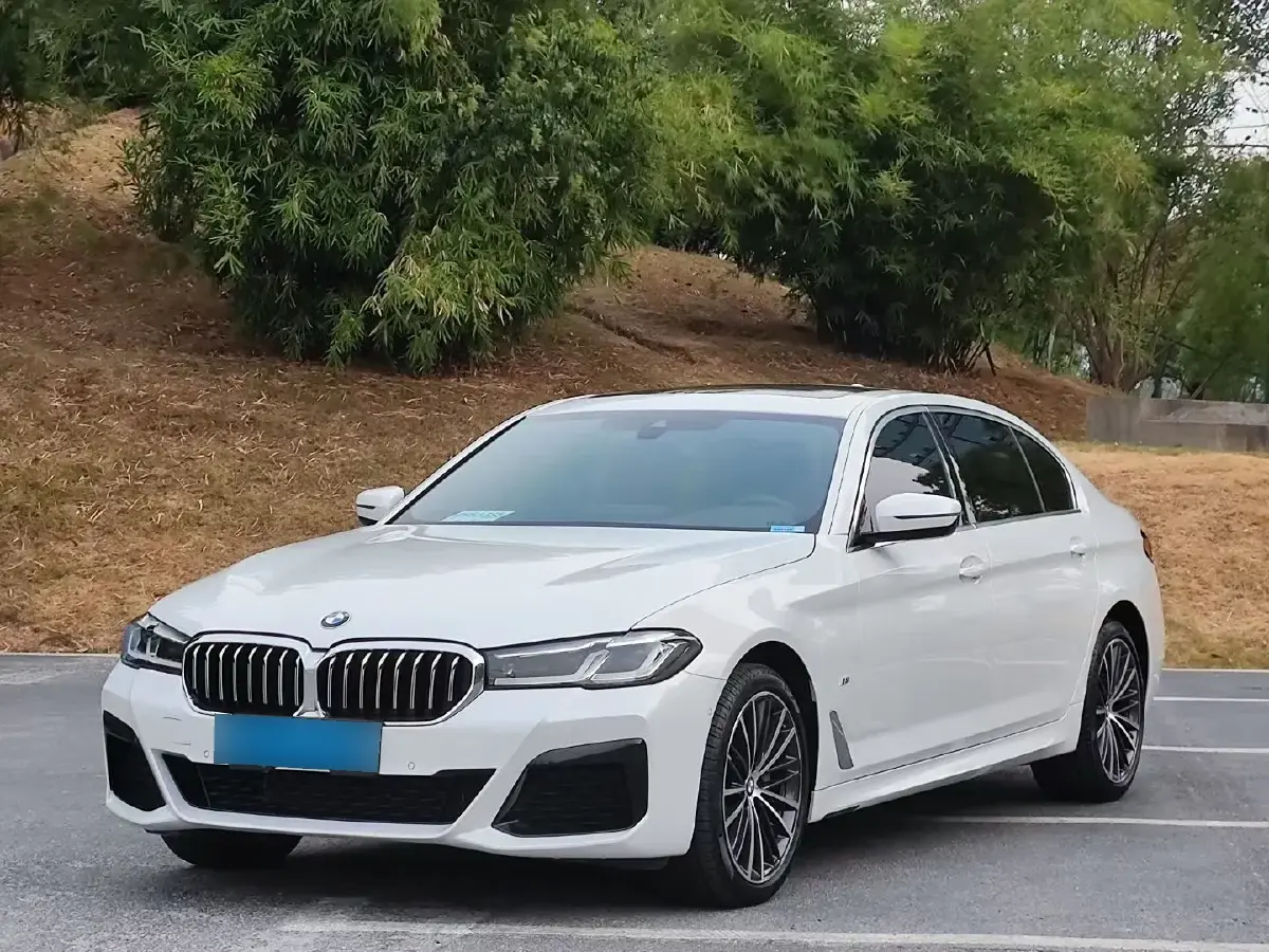 2021 BMW 5 Series 2.0T 252HP L4 8AT