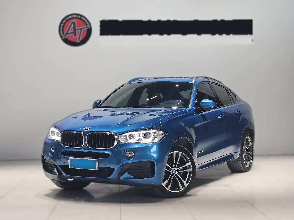 2018 BMW X6 3.0T 306HP L6 8AT
