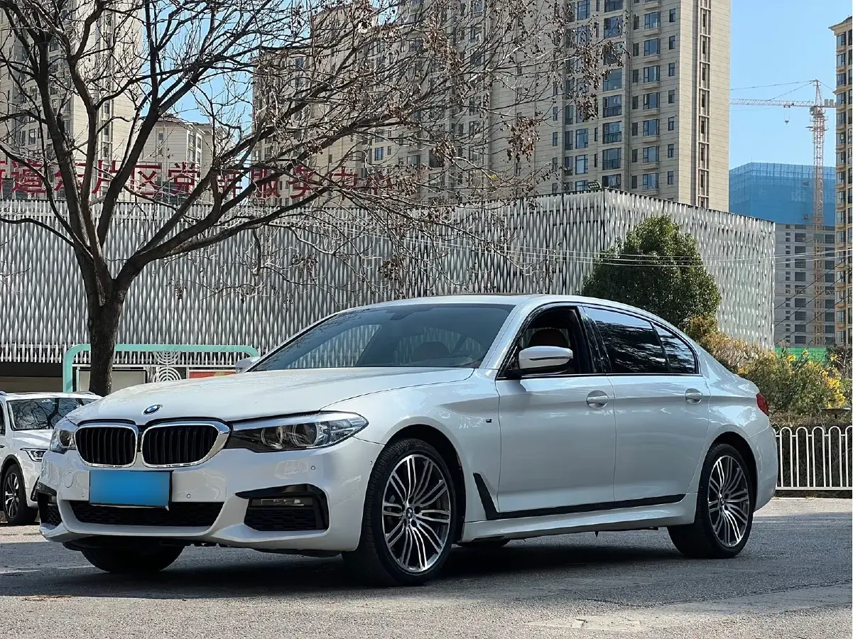 2019 BMW 5 Series 2.0T 252HP L4 8AT
