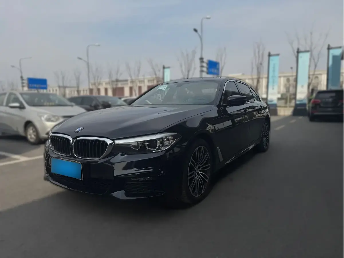 2019 BMW 5 Series 2.0T 252HP L4 8AT