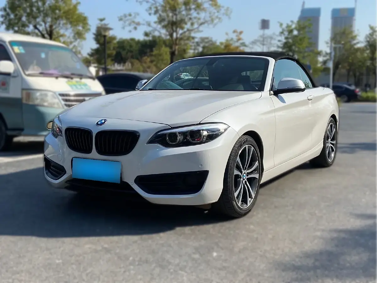 2019 BMW 2 Series 2.0T 184HP L4 8AT