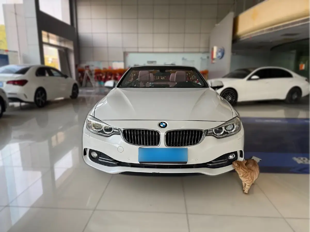 2014 BMW 4 Series 2.0T 245HP L4 8AT