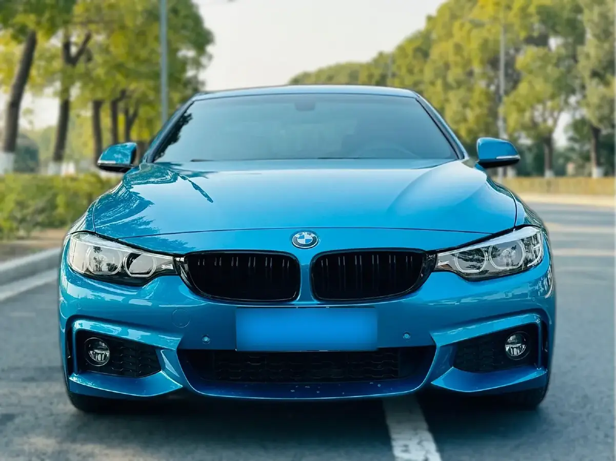 2017 BMW 4 Series 2.0T 184HP L4 8AT