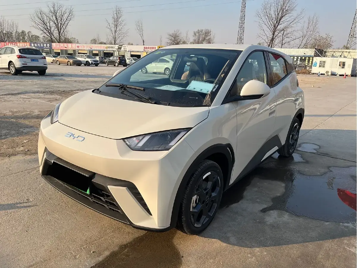 2025 BYD Seagull BEV 30.08KWH