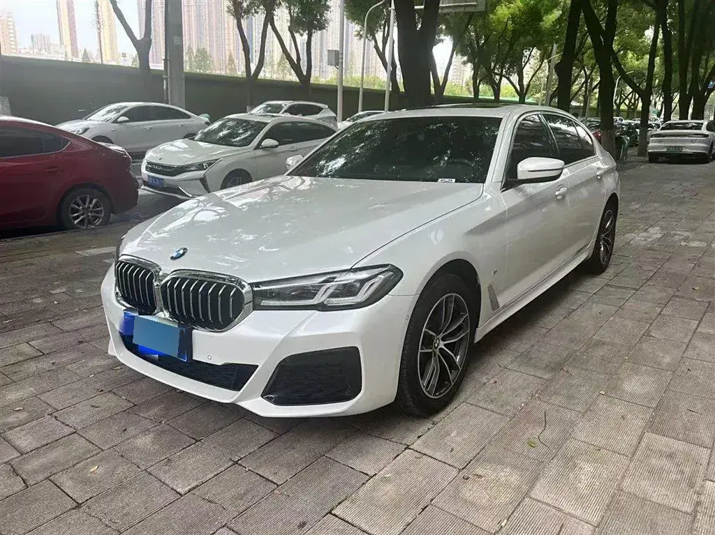 2021 BMW 5 Series 2.0T 184HP L4 8AT