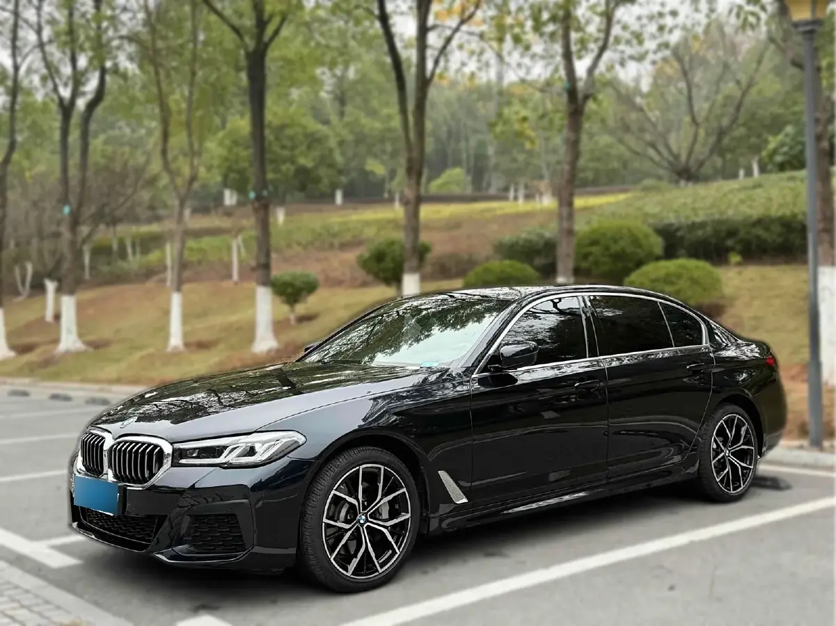 2021 BMW 5 Series 2.0T 252HP L4 8AT