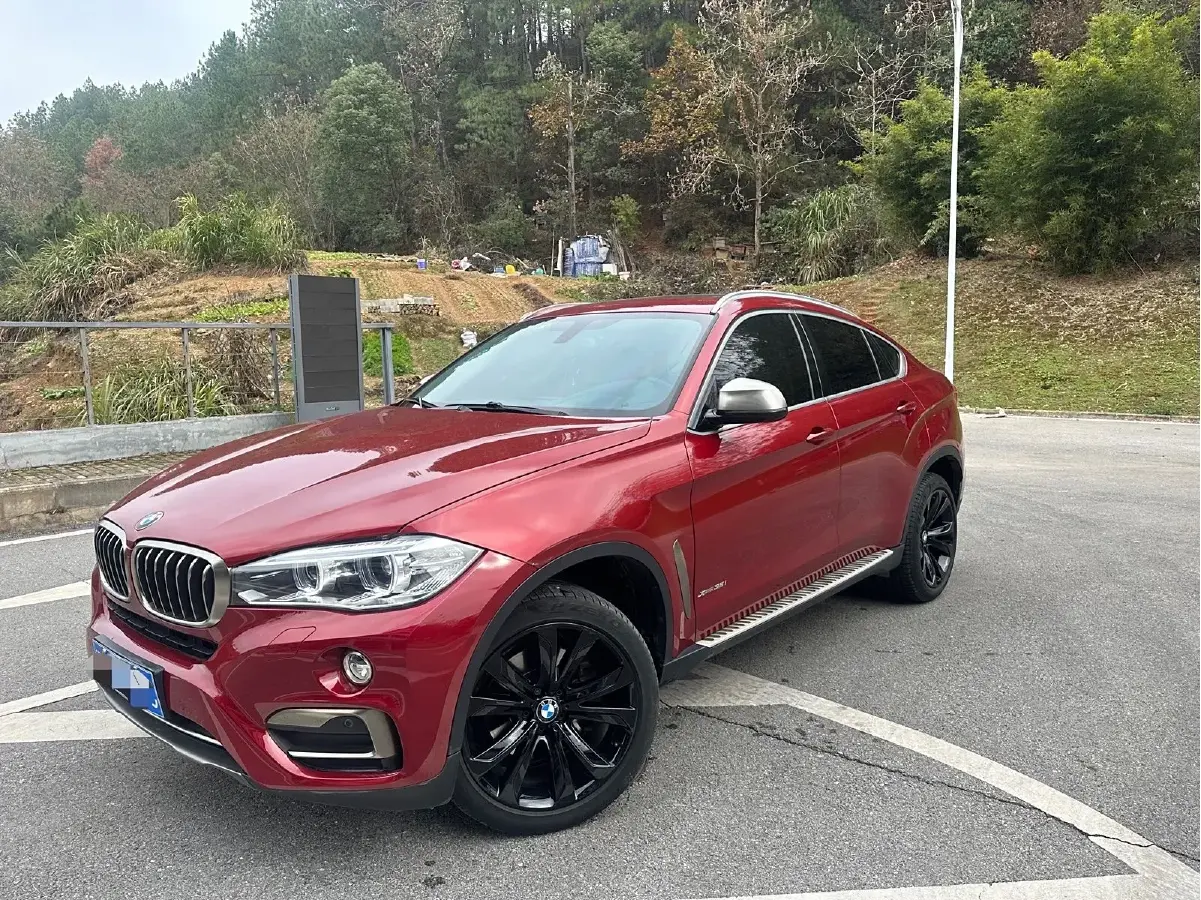 2018 BMW X6 3.0T 306HP L6 8AT