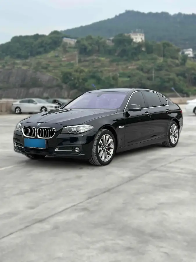 2017 BMW 5 Series 2.0T 245HP L4 8AT
