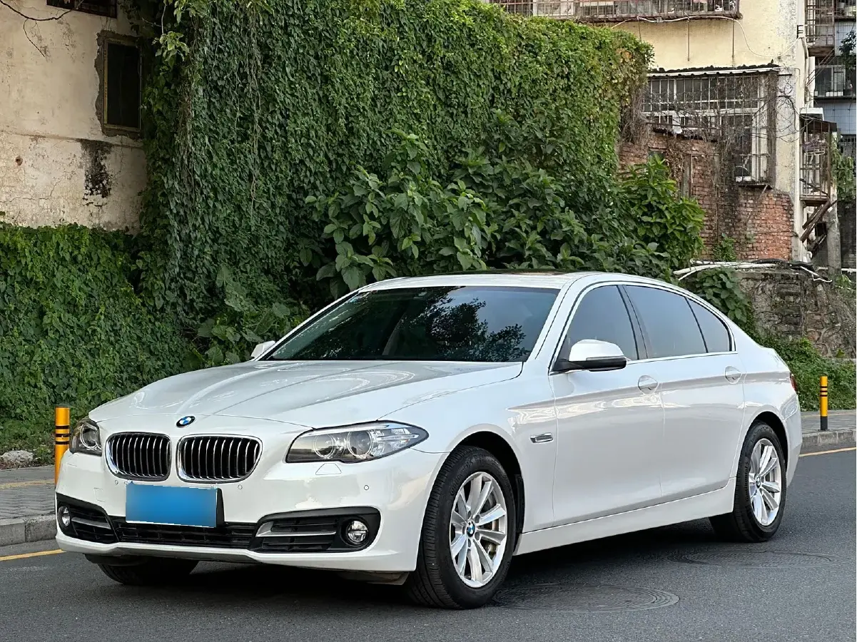 2017 BMW 5 Series 2.0T 184HP L4 8AT