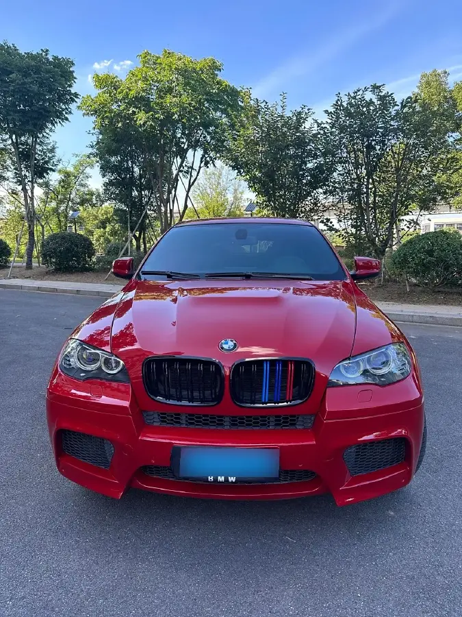 2010 BMW X6 M 4.4T 555HP V8 6AT