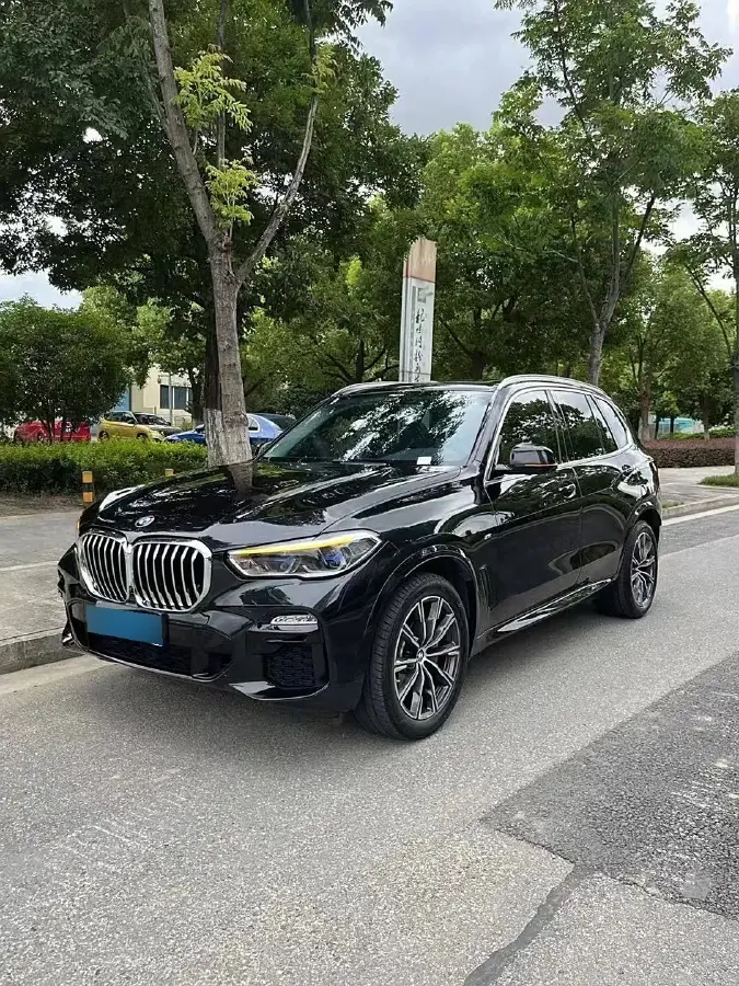 2020 BMW X5 2.0T 265HP L4 8AT