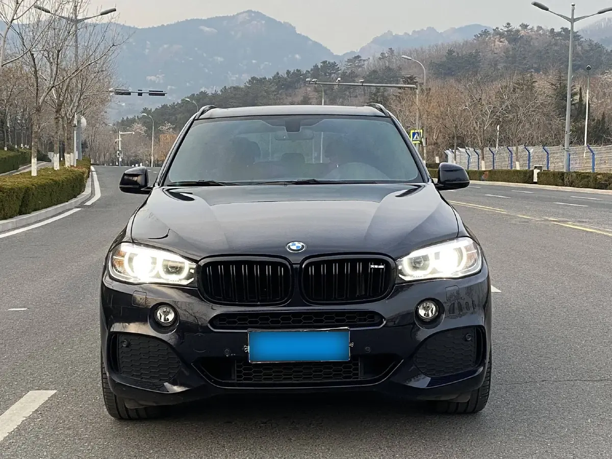 2017 BMW X5 3.0T 306HP L6 8AT