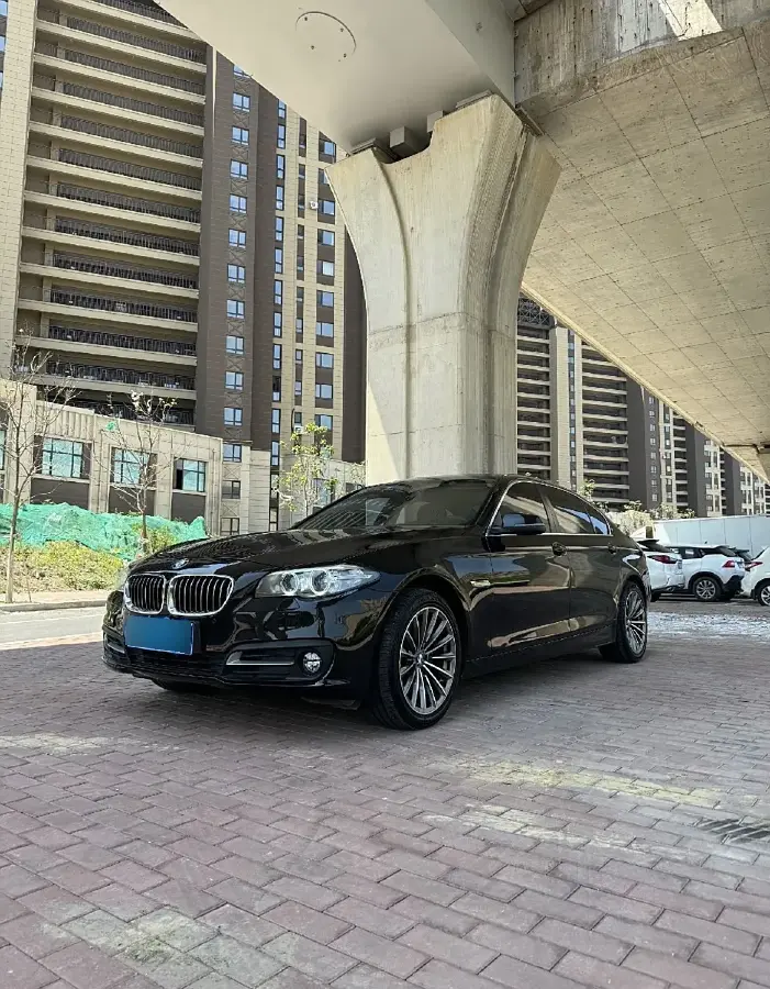 2010 BMW 5 Series 2.5L 177HP L6 6AT