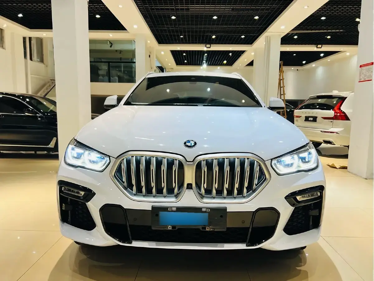 2020 BMW X6 3.0T 340HP L6 8AT