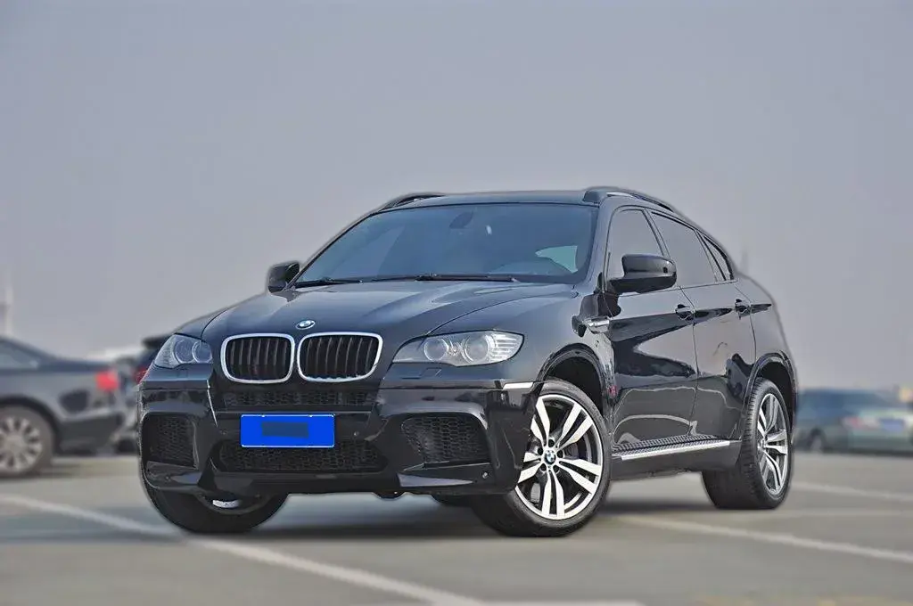 2010 BMW X6 M 4.4T 555HP V8 6AT